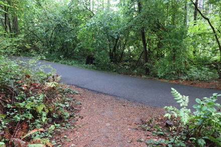 Junction to a natural surface trail creates a loop back to the paved trail Junction to a natural surface trail creates a loop back to the paved trail